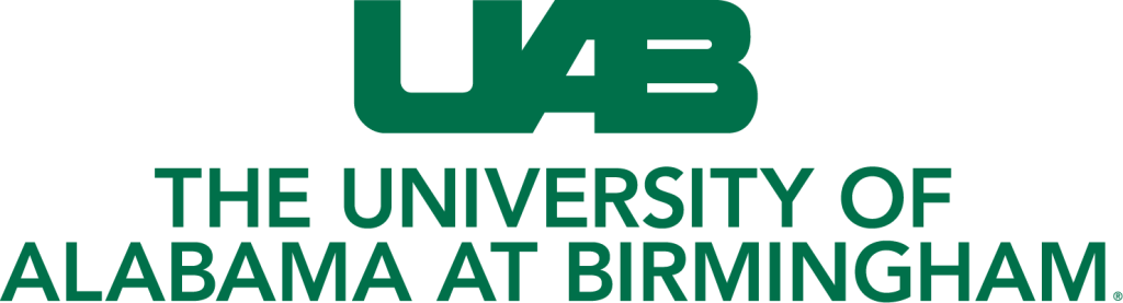 Online Cyber Security Degree UAB